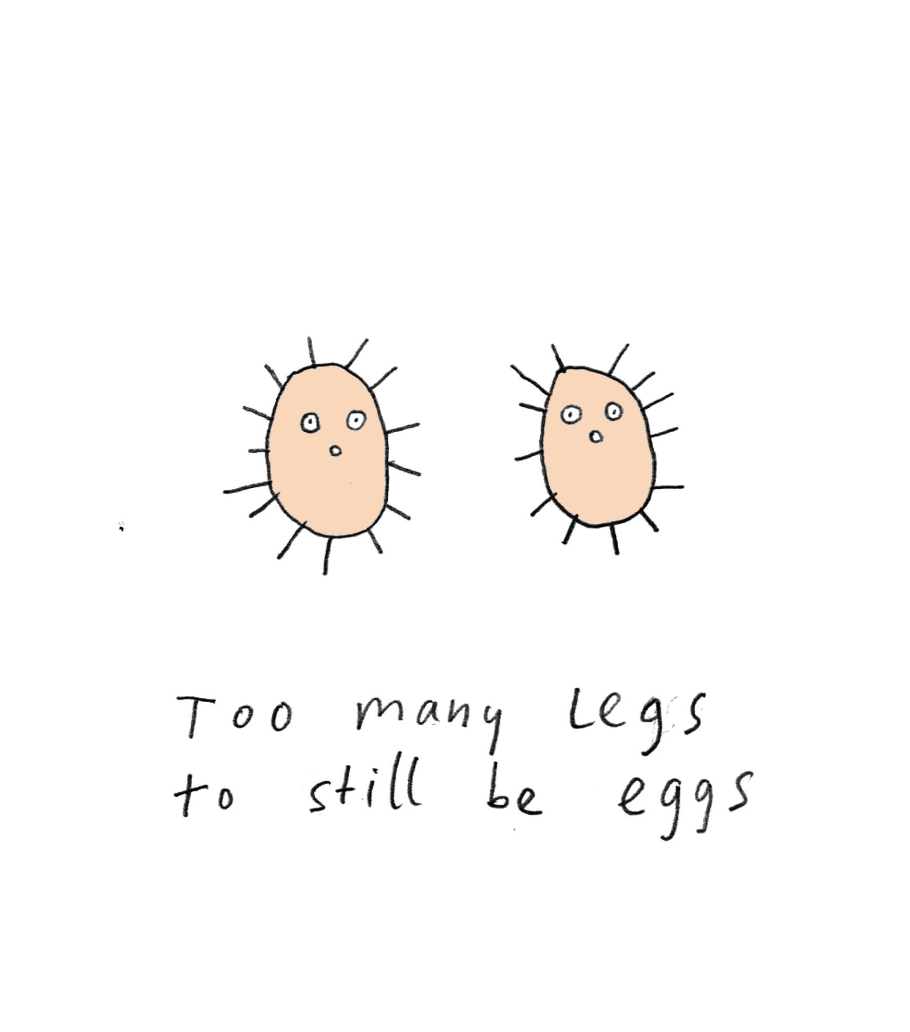 Eggs with legs